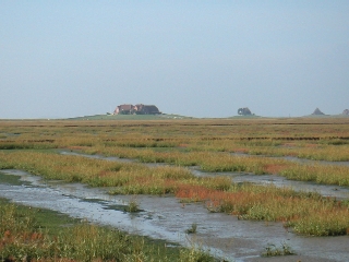 View to Nordstrandischmoor Island